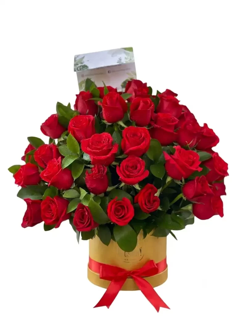 Rosas 4